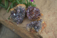 Natural Mini Dark Amethyst Crystals x 70 From Mapatizya, Zambia