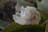 Natural Small Clear Quartz Clusters  x 24 From Madagascar