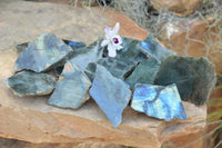 Polished One Side Polished Labradorite Slices  x 12 From Tulear, Madagascar - TopRock