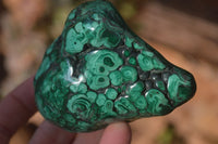 Polished Malachite Free Form x 1 From Kolwezi, Congo