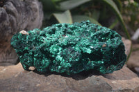 Natural Chatoyant Silky Malachite Specimen x 1 From Congo - Toprock Gemstones and Minerals 