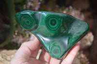 Polished Malachite Free Forms x 3 From Kolwezi, Congo