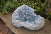 Natural Large Blue Celestite Geode Specimen  x 1 From Sakoany, Madagascar