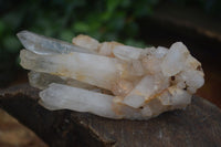 Natural Clear Quartz Clusters  x 6 From Madagascar - Toprock Gemstones and Minerals 