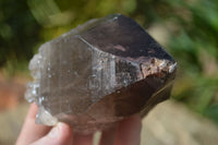 Natural Large Smokey Quartz Crystals  x 4 From Mulanje, Malawi - Toprock Gemstones and Minerals 