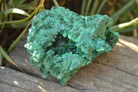 Natural Chatoyant Silky Malachite Specimens  x 2 From Kasompe, Congo - TopRock