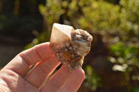 Natural Single Pineapple Quartz Crystals  x 35 From Madagascar - TopRock