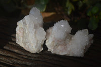 Natural White Cactus Flower Spirit Quartz Specimens x 12 From Boekenhouthoek, South Africa