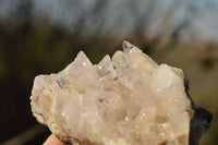 Natural Dog Tooth Calcite On Drusy Quartz Specimen x 1 From Albert's Mountain, Lesotho - TopRock