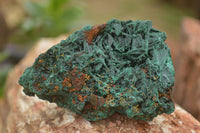 Natural Chatoyant Silky Malachite Specimens  x 6 From Kasompe, Congo - TopRock