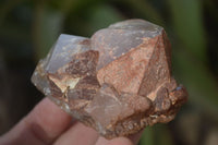 Natural Smokey Hematoid Quartz Crystals  x 12 From Madagascar