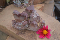 Natural Extra Large Red Hematite Phantom Quartz Cluster  x 1 From Karoi, Zimbabwe - TopRock