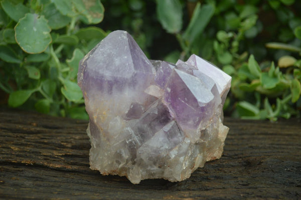 Natural Jacaranda Amethyst Cluster x 1 From Mumbwa, Zambia - TopRock