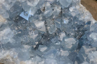 Natural Large Blue Celestite Geode Specimen  x 1 From Sakoany, Madagascar