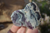 Polished One Side Polished Watermelon Fluorite Pieces  x 12 From Uis, Namibia