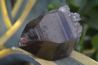 Natural Large Smokey Quartz Crystals  x 4 From Mulanje, Malawi - Toprock Gemstones and Minerals 