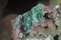 Natural Stunning Drusy Quartz Coated Malachite Dolomite Specimen x 1 From Likasi, Congo - Toprock Gemstones and Minerals 