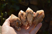 Natural Single Pineapple Quartz Crystals  x 35 From Madagascar - TopRock