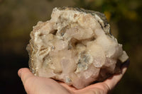 Natural Dog Tooth Calcite On Drusy Quartz Specimen x 1 From Albert's Mountain, Lesotho - TopRock