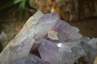 Natural Jacaranda Amethyst Cluster x 1 From Mumbwa, Zambia - TopRock