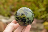 Polished Stromatolite Fossil / Kambamba Jasper Spheres  x 4 From Mahajanga, Madagascar - TopRock