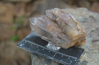 Natural Red Hematite Quartz Crystals  x 6 From Karoi, Zimbabwe - TopRock