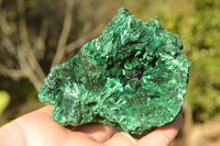 Natural Chatoyant Silky Malachite Specimens  x 2 From Kasompe, Congo - TopRock