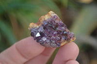 Natural Mini Dark Amethyst Crystals x 70 From Mapatizya, Zambia