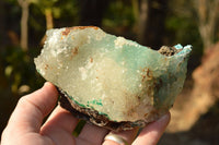 Natural Drusy Crystalline Chrysocolla With Malachite & Black Heterogenite x 8 From Likasi, Congo - TopRock