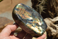 Polished Labradorite Standing Free Forms With Intense Blue & Gold Flash x 2 From Sakoany, Madagascar - TopRock