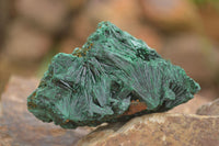 Natural Chatoyant Silky Malachite Specimens  x 6 From Kasompe, Congo - TopRock