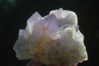 Natural Jacaranda Amethyst Clusters  x 3 From Mumbwa, Zambia - Toprock Gemstones and Minerals 