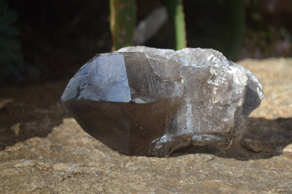 Natural Large Smokey Quartz Crystal x 1 From Malawi