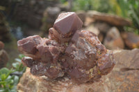 Natural Extra Large Red Hematite Phantom Quartz Cluster  x 1 From Karoi, Zimbabwe - TopRock