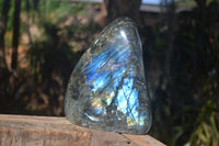 Polished Extra Large Labradorite Display Piece With Full Face Flash  x 1 From Tulear, Madagascar - Toprock Gemstones and Minerals 