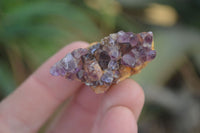 Natural Mini Dark Amethyst Crystals x 70 From Mapatizya, Zambia