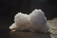 Natural White Cactus Flower Spirit Quartz Specimens x 12 From Boekenhouthoek, South Africa