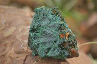 Natural Chatoyant Silky Malachite Specimens  x 6 From Kasompe, Congo - TopRock