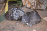 Natural Large Smokey Quartz Crystals  x 4 From Mulanje, Malawi - Toprock Gemstones and Minerals 