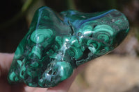 Polished Malachite Free Forms x 3 From Kolwezi, Congo