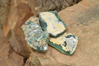 Natural Green Mtorolite / Emerald Chrysoprase Cutting Material  x 32 From Zimbabwe - TopRock