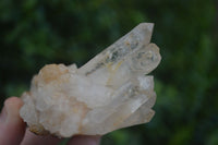 Natural Clear Quartz Clusters  x 6 From Madagascar - Toprock Gemstones and Minerals 