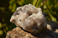 Natural Dog Tooth Calcite On Drusy Quartz Specimen x 1 From Albert's Mountain, Lesotho - TopRock