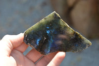 Polished One Side Polished Labradorite Slices  x 12 From Tulear, Madagascar - TopRock