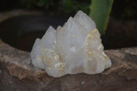 Natural "Cathedral Window" Cascading Candle Quartz Crystals x 12 From Madagascar - Toprock Gemstones and Minerals 