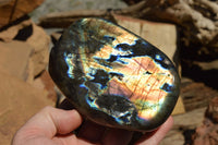 Polished Labradorite Standing Free Forms With Intense Blue & Gold Flash x 2 From Sakoany, Madagascar - TopRock