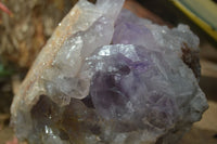 Natural Jacaranda Amethyst Cluster x 1 From Mumbwa, Zambia - TopRock