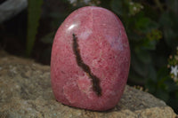 Polished Pink Rhodonite Standing Free Forms  x 3 From Madagascar - Toprock Gemstones and Minerals 