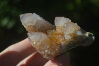 Natural Small Mixed Spirit Amethyst / Ametrine Specimens  x 24 From Boekenhouthoek, South Africa - Toprock Gemstones and Minerals 