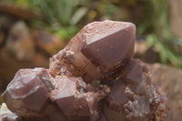 Natural Extra Large Red Hematite Phantom Quartz Cluster  x 1 From Karoi, Zimbabwe - TopRock